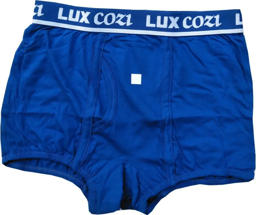 lux cozi mini 3.webp